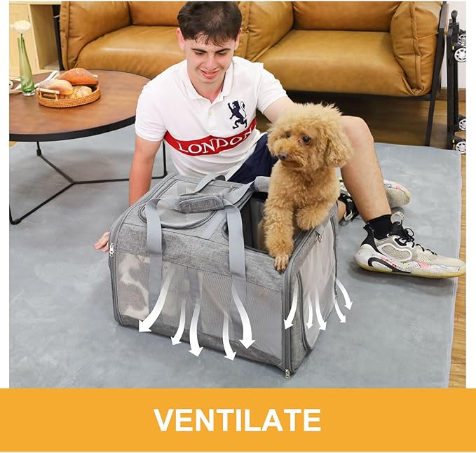 Double Compartment Cat Carrier with Wheels for 2 Cats 2 Small 2 Cats 21" x 17" x 13",Not Airline