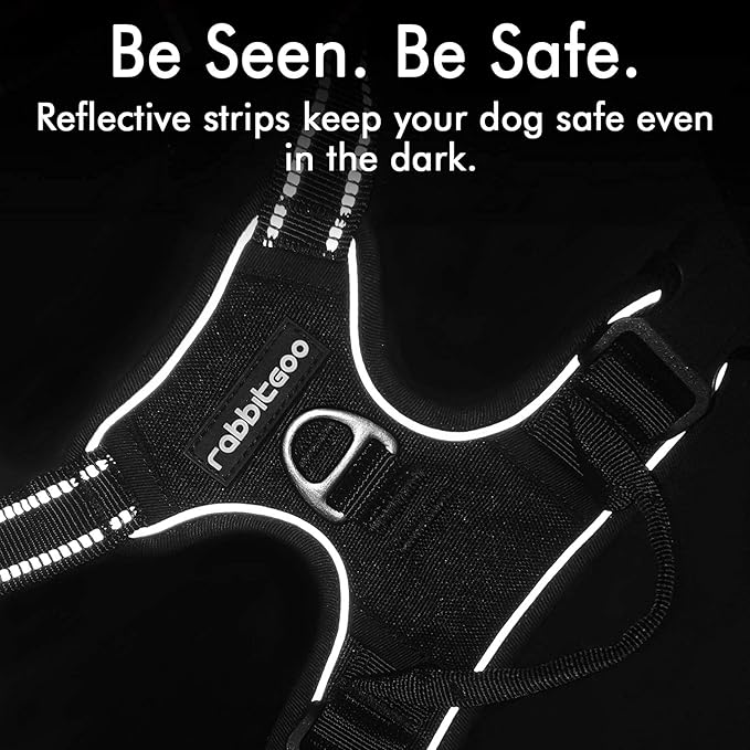 rabbitgoo Dog Harness 2 Leash