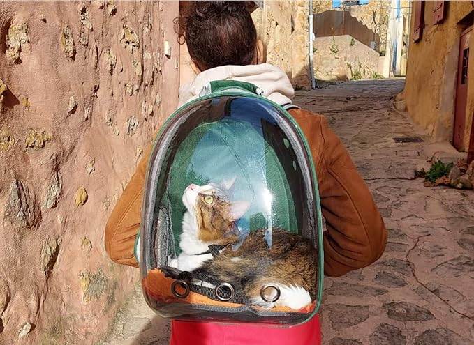 Cat Backpack Carrier