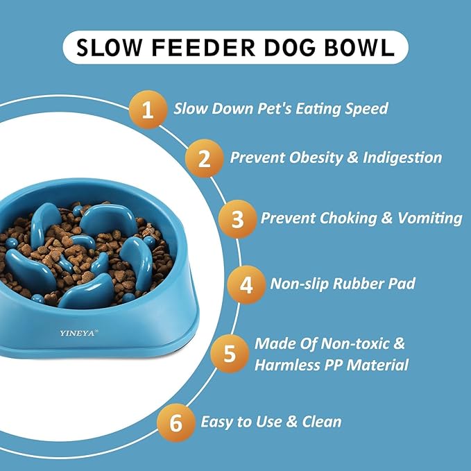 Slow Feeder Dog Bowls Large Breed