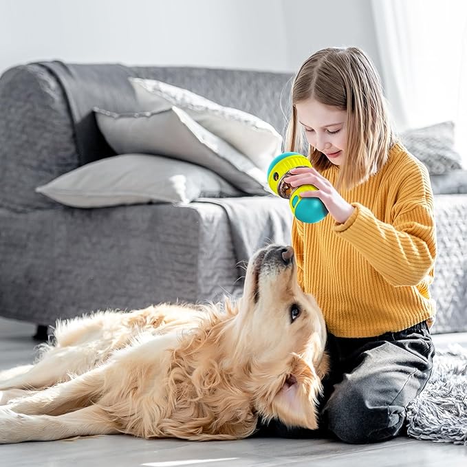 Dog Treat Toy