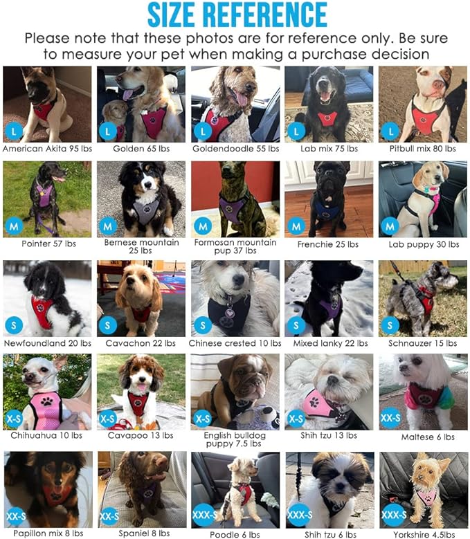 SlowTon Dog Seat Belt Harness for Car