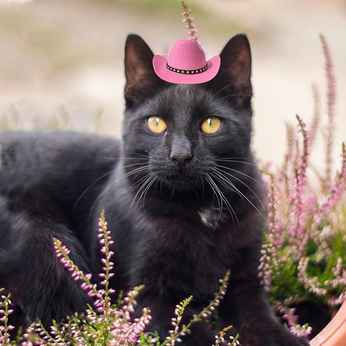 Dog Cowboy Hat Cat Cowboy Hat Mini Cowboy Hat for Dogs Cat Pet Cowboy Costume with Bandana Scarf Holiday Halloween Pet Party Decoration (pink