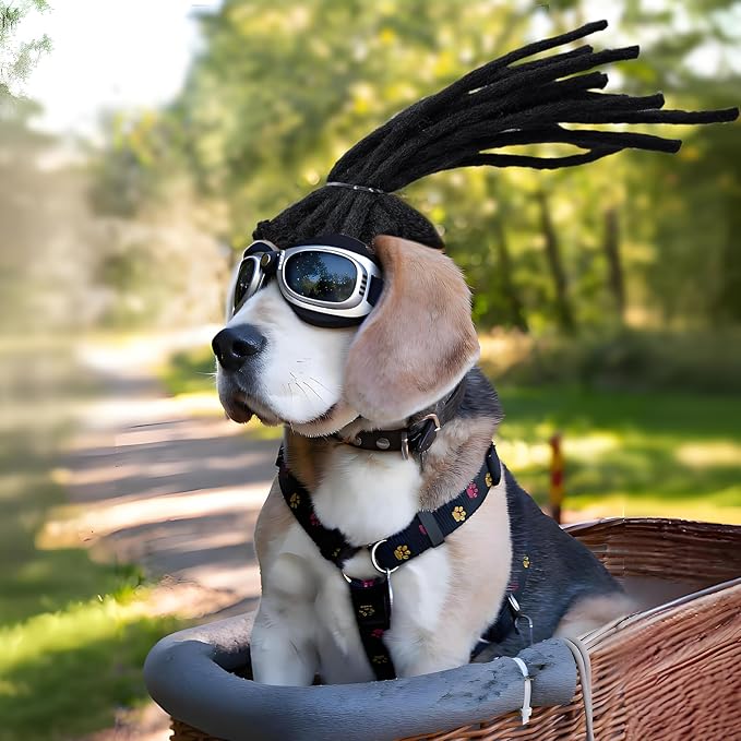 Pet Rockstar Wig
