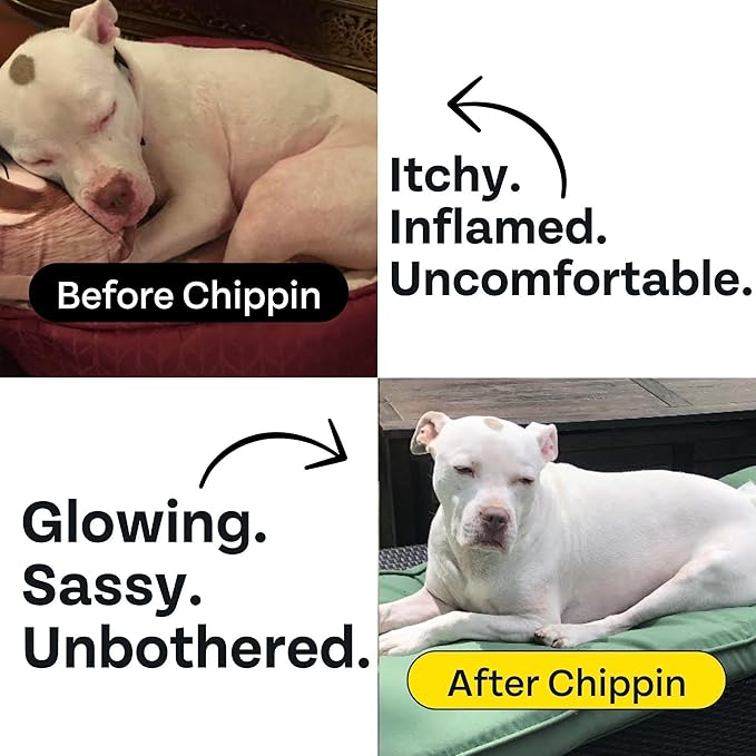 Chippin Fish (5oz, 1-Pack)