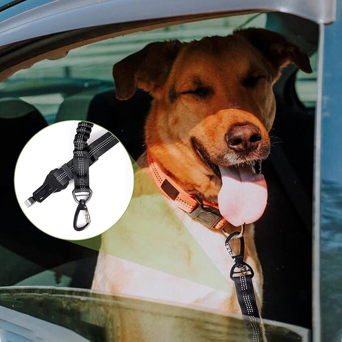 Dog Seat Belt for Car 3 in 1 360° Carabiner