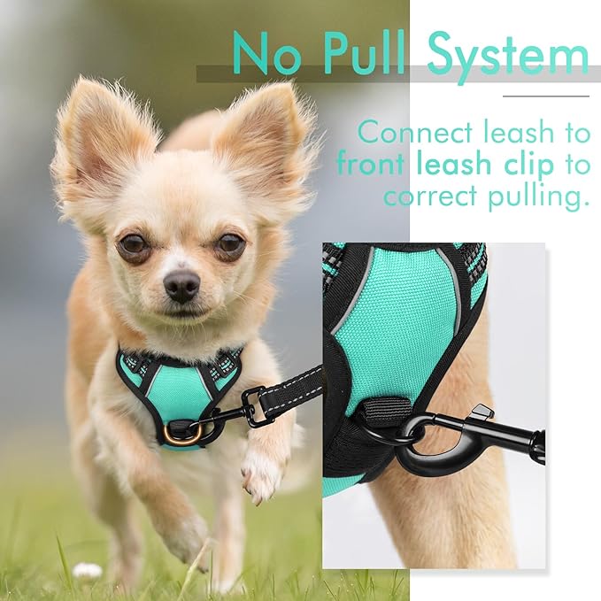 rabbitgoo Dog Harness 2 Leash