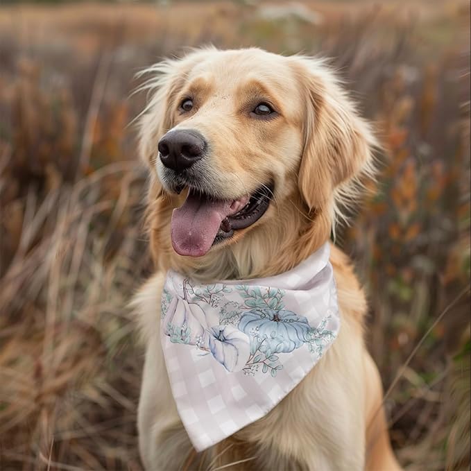 Fall Dog Bandana 2 Pack Thanksgiving Dog Bandana Pumpkin Pet Scarf Reversible Fall Triangle Bibs Soft Cotton Boy Girl Dog Bandanas for Small, Medium, Large Dogs (Large)