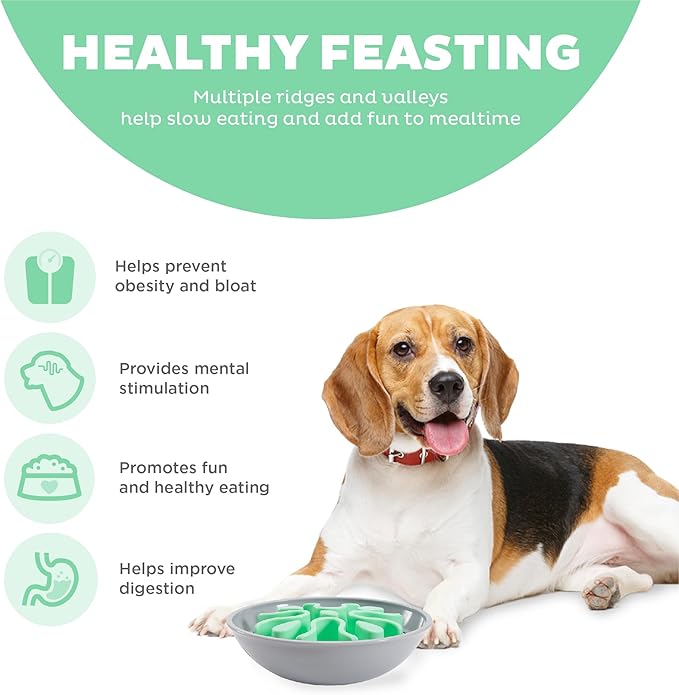 Outward Hound Fun Feeder Wobble Slo Bowl