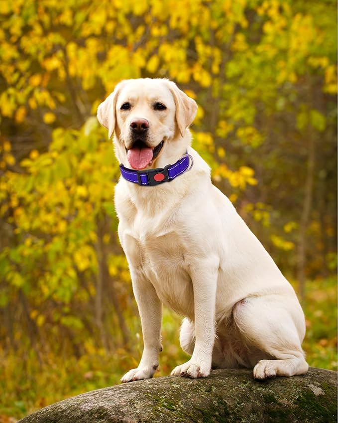 Reflective Dog Collar