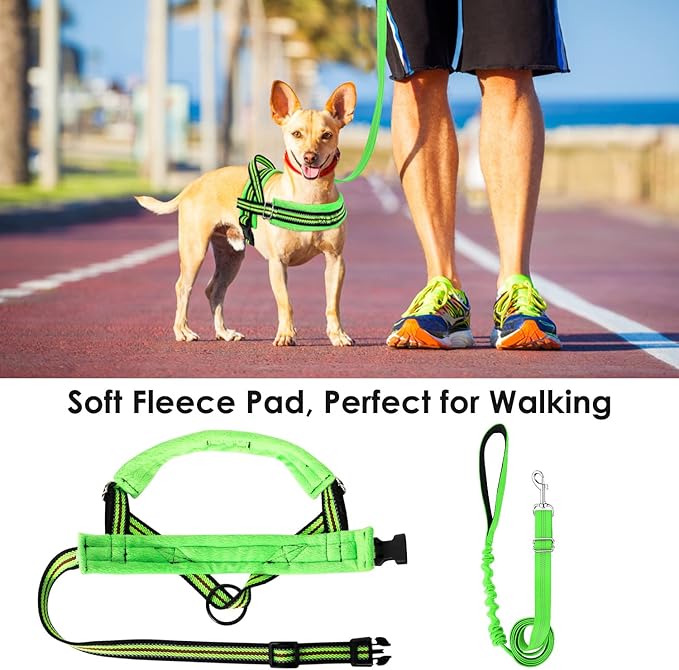 Lukovee Dog Harness and Leash Set 4ft Lightweight