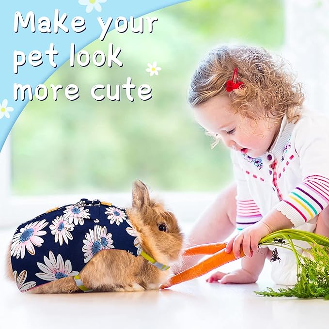 3 Piece Cute Rabbit Leash and Harness Set