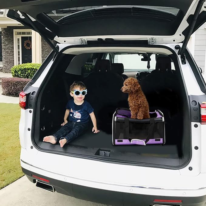 Carrying Bag for Yorkie Dog Travel Kennel Ventilated 12lb Large