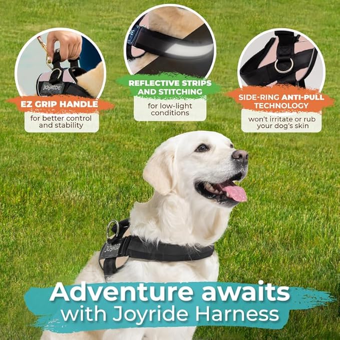 Joyride Harness 2.0 3 Leash