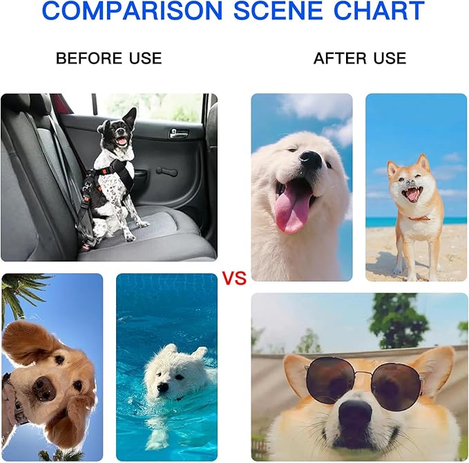 Dog Cooling Mat Gel: Large Cooling Pad for Dog (31.4" x 47.2"