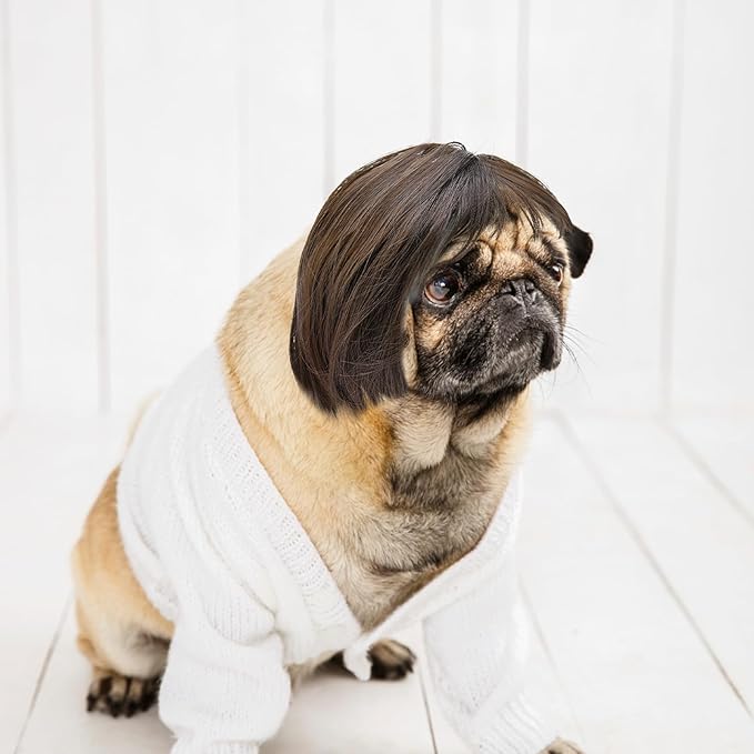 Funny Cat Dog Wig