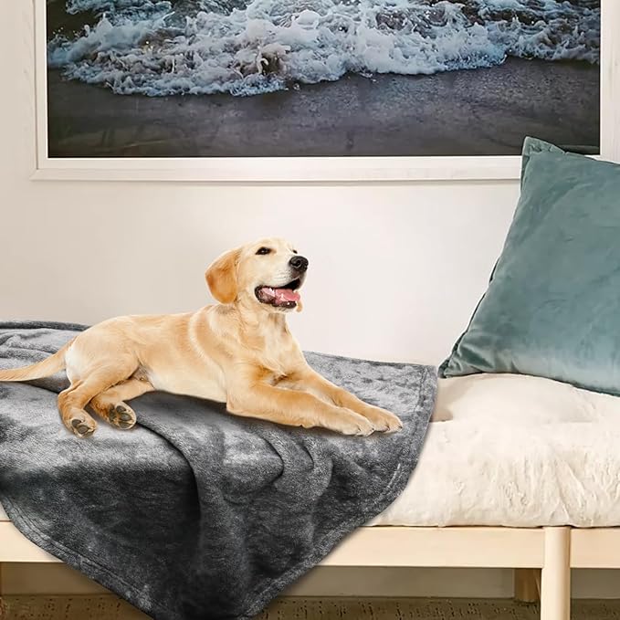Onarway Dog Blanket Washable for Puppy: 4 packs Dog Blankets 28”x20”