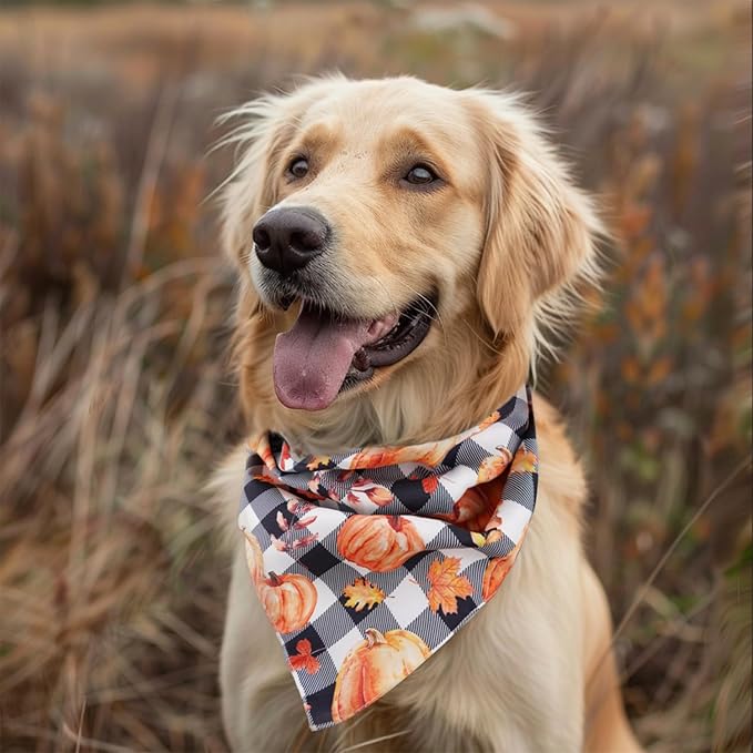 Fall Dog Bandana 2 Pack Halloween Dog Bandanas Thanksgiving Pumpkin Pet Scarf Reversible Fall Triangle Bibs Soft Cotton Boy Girl Dog Bandanas for Small, Medium, Large Dogs (Large)