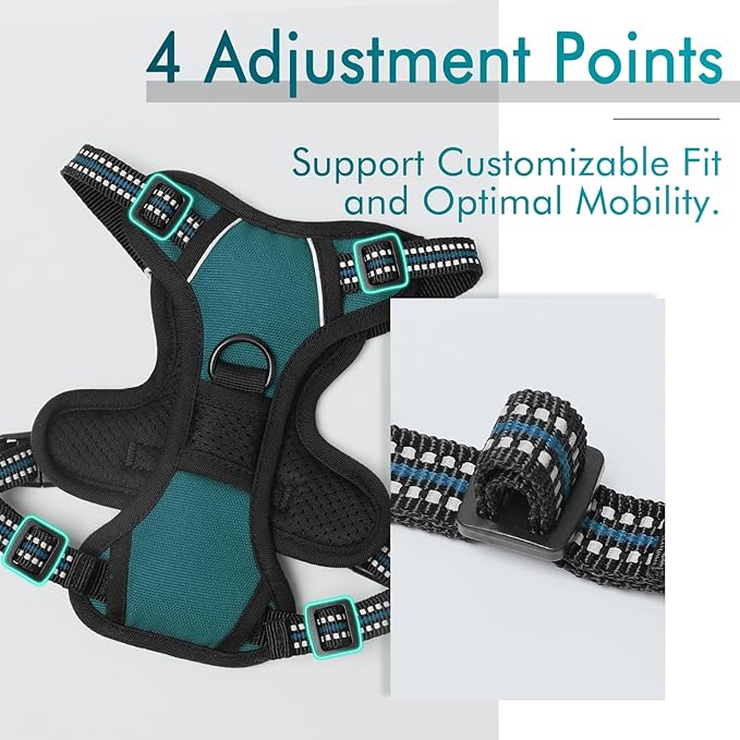 rabbitgoo Dog Harness 2 Leash