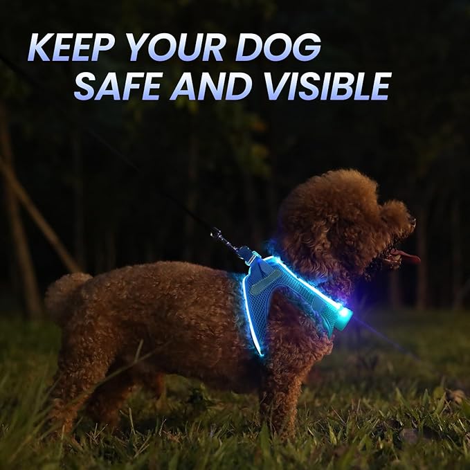 PcEoTllar Light Up Dog Harness