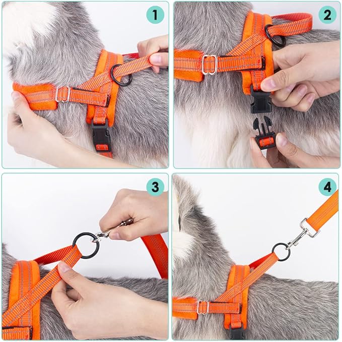 Lukovee Dog Harness and Leash Set 4ft Lightweight