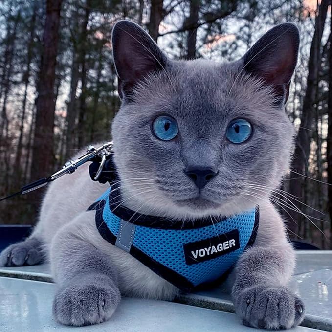 Voyager Step-in Air Dog Harness 16-18")