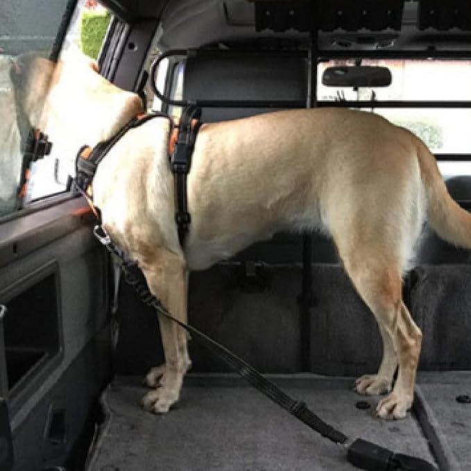 Dog Seatbelt
