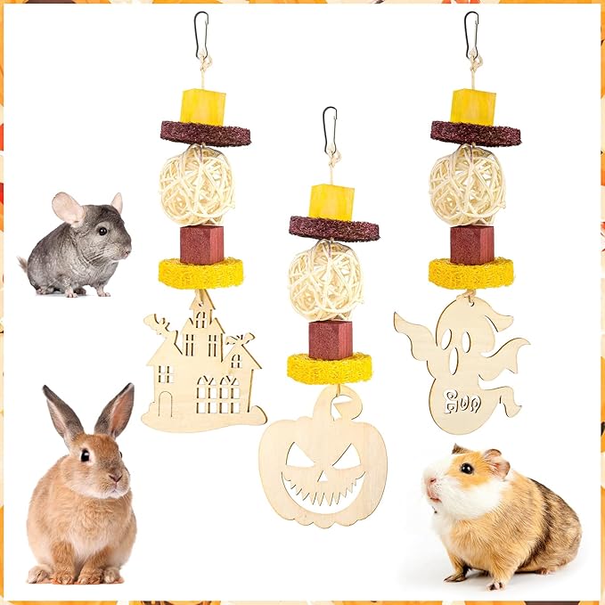 Abizoo Halloween Guinea Pig Chew Toys 3 Pcs