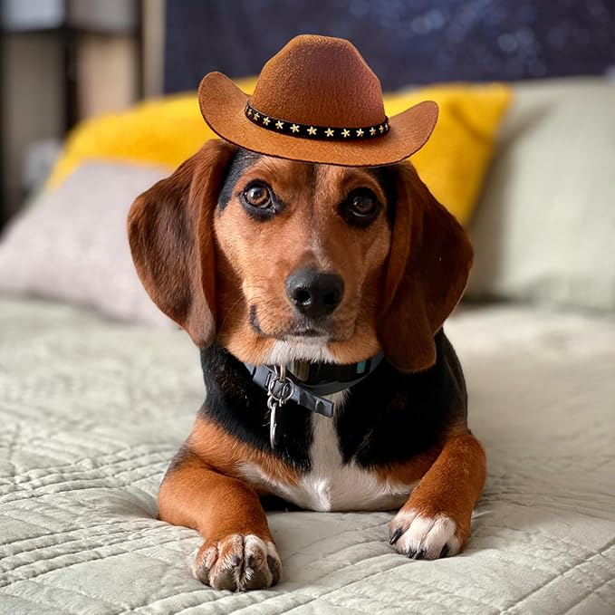 Dog Cowboy Hat Cat Cowboy Hat Mini Cowboy Hat for Dogs Cat Pet Cowboy Costume with Bandana Scarf Holiday Halloween Pet Party Decoration (brown