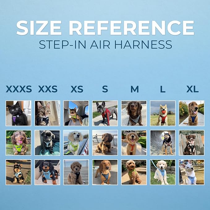 Voyager Step-in Air Dog Harness 2-Tone), XS 13-14.5")