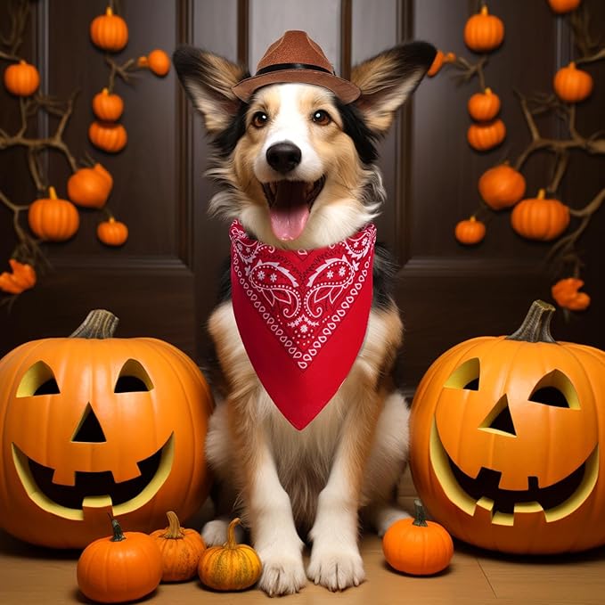 choyaxo Dog Halloween Costumes Pet Cowboy Costume