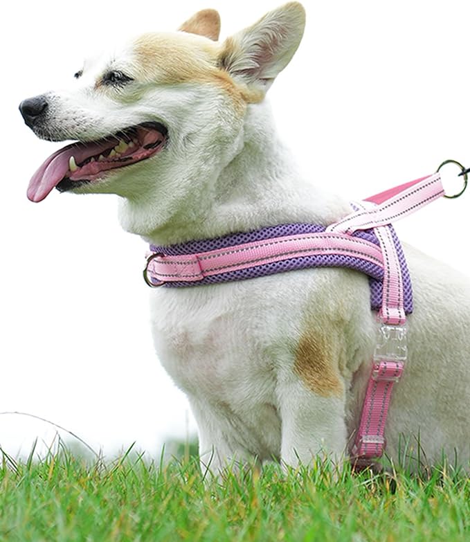 Pink Small Dog Harness No Pull Dog Harness for Small Dogs Puppy Harness with Breathable Mesh Padded Adjustable Reflective Lightweight Escape Proof Dog Harness Small Sized Dog Easy Walk (Pink
