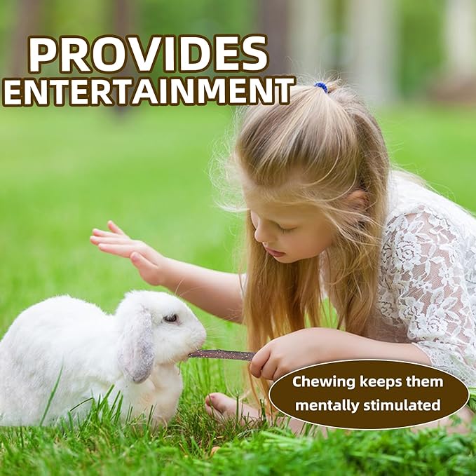 PetIsay 750g Apple Sticks for Rabbits