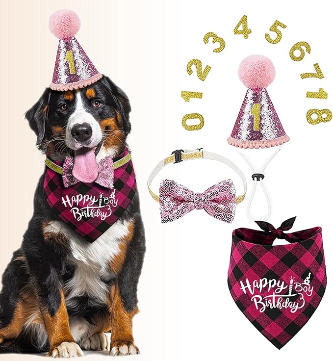 Dog Birthday Bandana Set Dog Girl Birthday Hat Happy Birthday with Numbers for Small Medium Dogs Pets