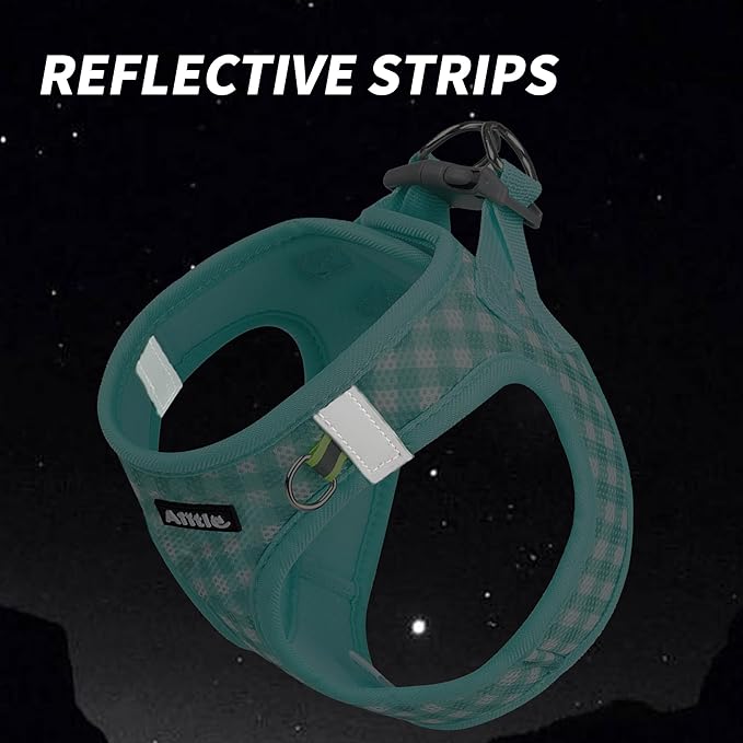 AIITLE Adjustable Dog Harness and Leash Set
