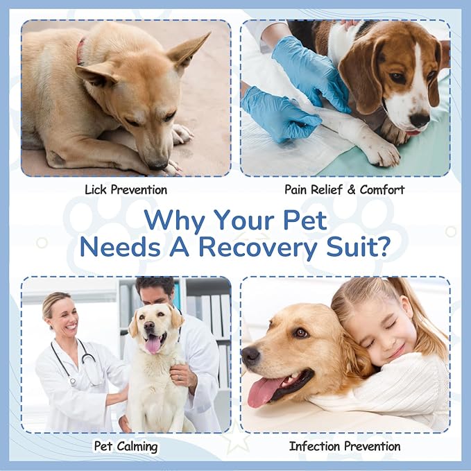Dog Onesie After Surgery Recovery Suit Shed Defender