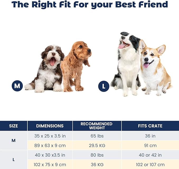 Miguel Durable Canvas Dog Bed 12 Ounce 100% Cotton 40 x 30 inch,