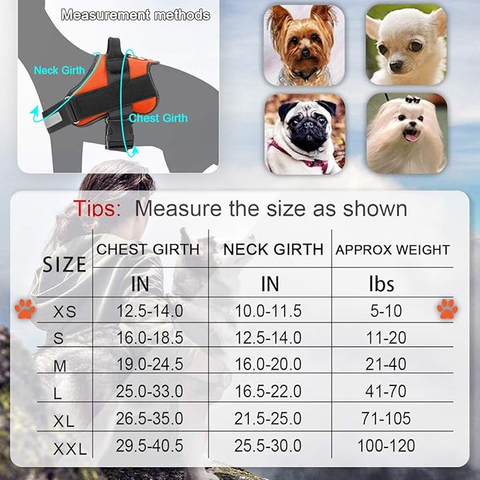 Bolux Dog Harness