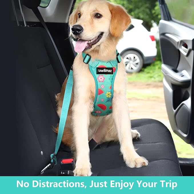 Dog Vehicle Safety Vest Harness
