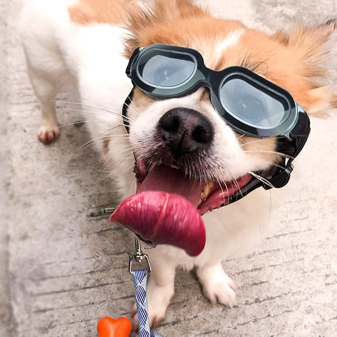 ENJOYING Dog Sunglasses Small Breed