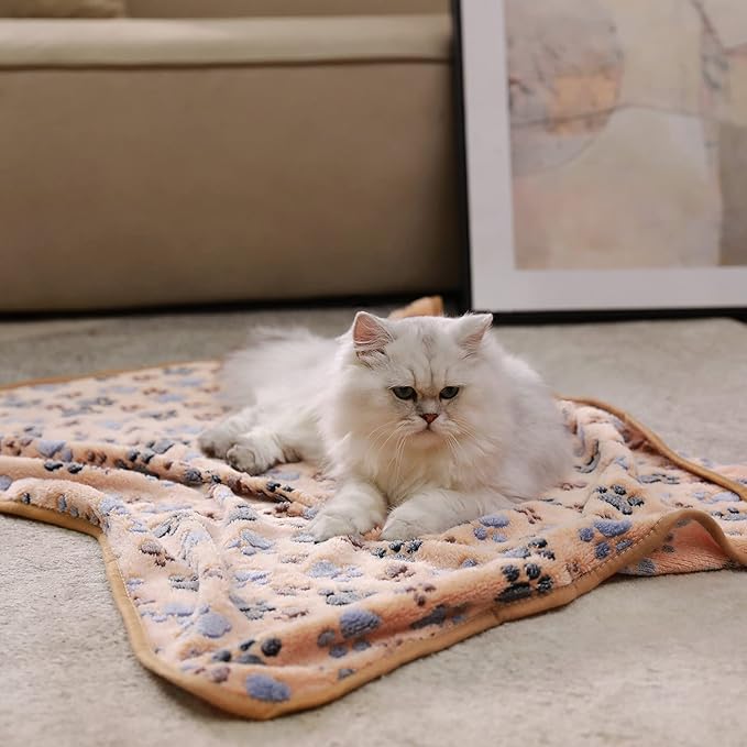 1 Pack 3 Blankets Super Soft Fluffy Premium Large(41x31 inch)