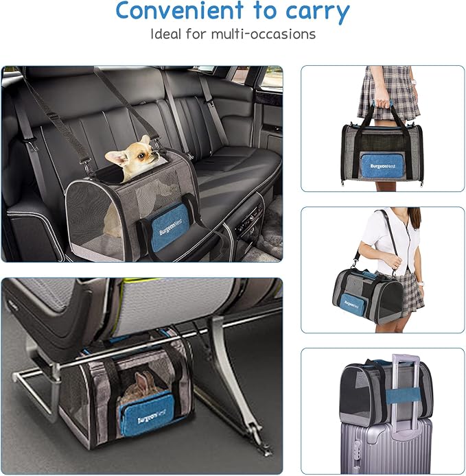 BurgeonNest Cat Carriers for Small Cats Under 15 4 Ventilated