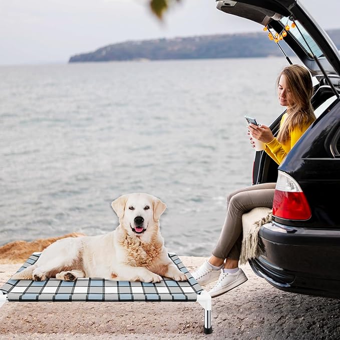 Elevated Dog Bed Raised Dog Bed