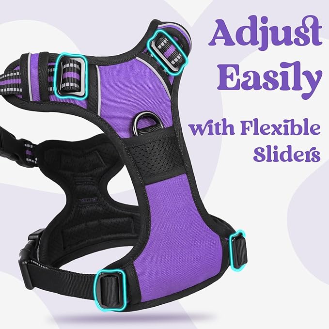 rabbitgoo Dog Harness Small Sized 3 Buckles,