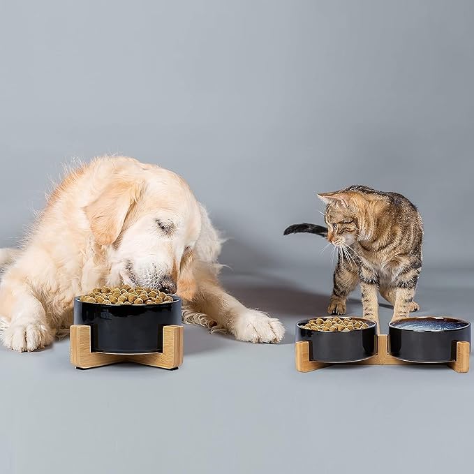 SPUNKYJUNKY Ceramic Dog and Cat Bowl Set with Wooden Stand (13.5OZ) & (28.7OZ) & (3.6 Cups, 2 ×