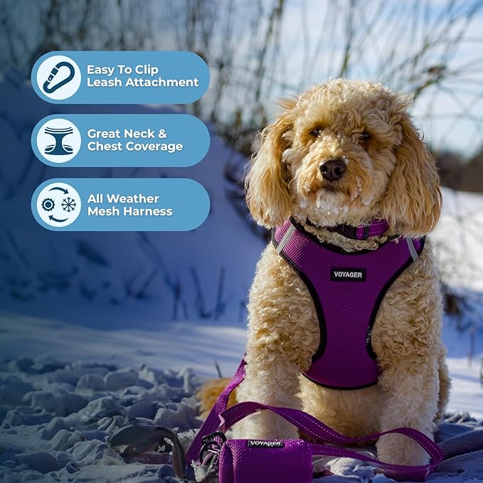 Voyager Step-in Air Dog Harness