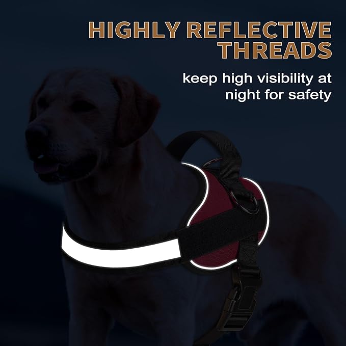 Haapaw Essential Dog Harness 3 Leash