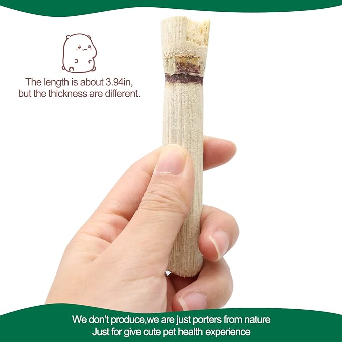 BWOGUE 100g Pet Snacks Sweet Bamboo Chew Toy 10-14 Sticks)