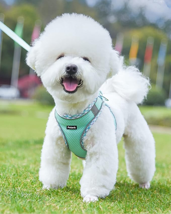Petank Green Dog Harness (XS)