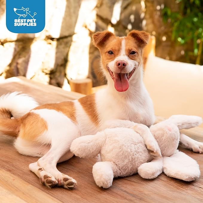 Best Pet Supplies Interactive Bunny Buddy Dog Toy with Crinkle and Squeaky Enrichment for Small and Medium Breed Puppies or Dogs